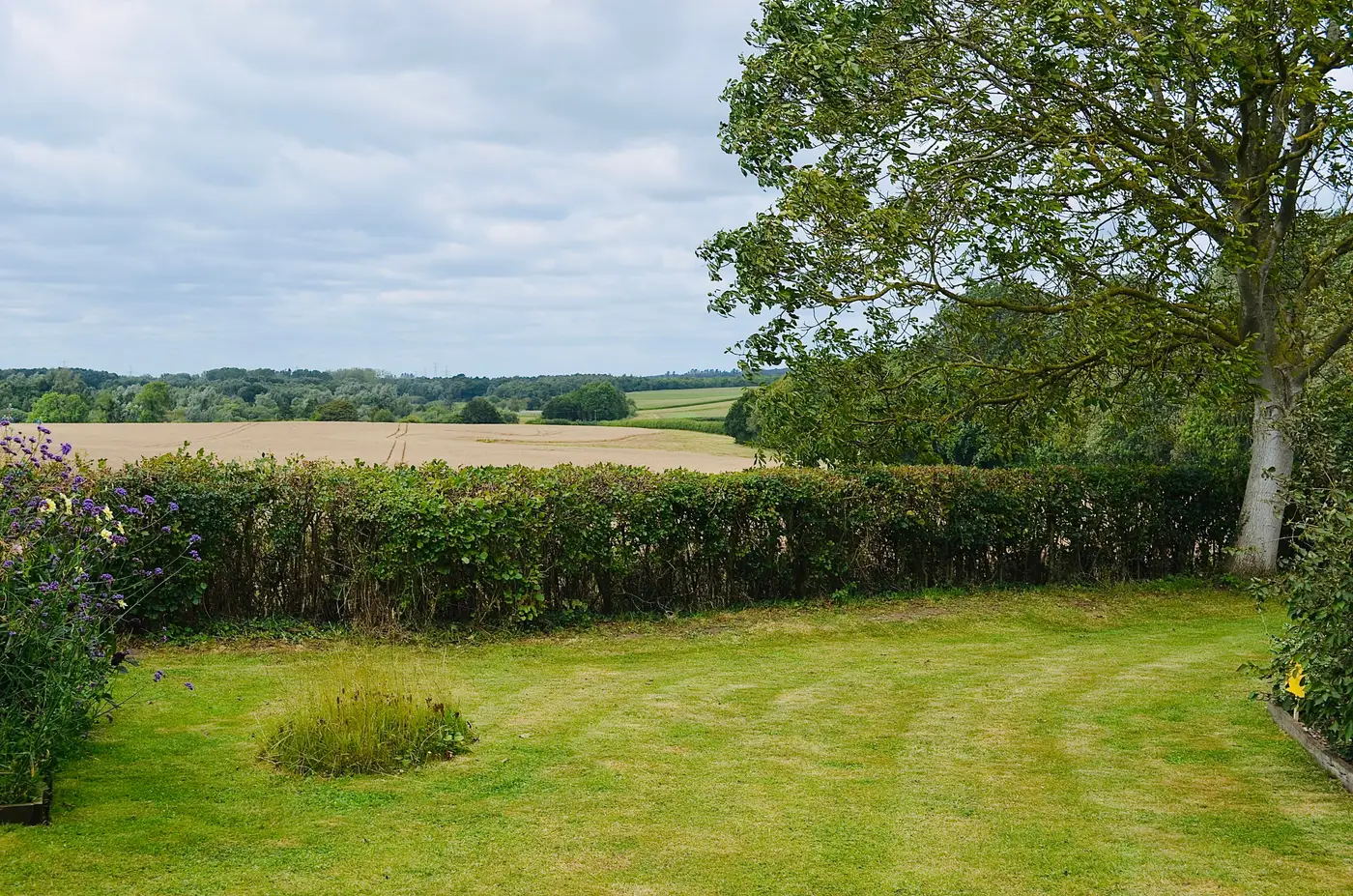 A trimmed hedgerow dividing a lawn from an open arable field, with a tree line beyond under a cloudy sky.